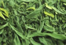 英德绿茶哪家品牌好