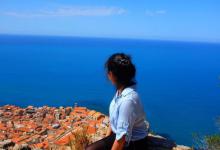 淘宝口令具体在哪里输入？有什么用途？