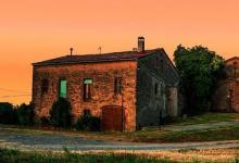 淘宝特价版该怎么搜索店铺？为什么会这么便宜？