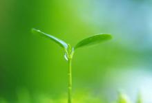 淘宝卖茶叶有什么要求？有何要求？