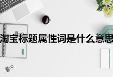 淘宝标题属性词具体是什么意思？如何使用？