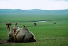 天猫u先试用要钱吗？商家怎么报名？