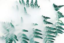 聚划算参聚险最后能还给商家吗？细则特点有哪些？