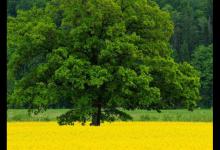 淘宝流量是浏览量吗？怎样提高浏览量？