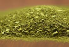 日照绿茶和其他绿茶功效