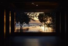 淘宝搜索权重是什么意思？