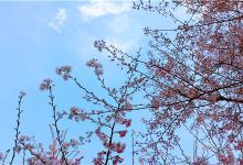 聚划算报名需要多少费用？