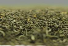 日照绿茶市价