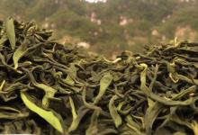 黄山太平猴魁茶