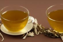 老鹰茶 白茶