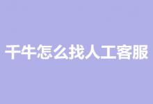 千牛怎么找人工客服？有什么用？