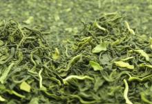 绿茶信阳毛尖功效