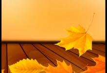 淘宝宝贝详情图片一般尺寸规定多少？电脑端和手机端的区别是什么？