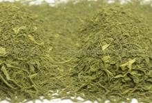 日照绿茶凌青