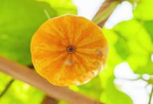 淘宝产品风格影响店铺标签吗？怎么精准打标签？