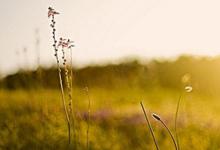 淘宝刷信用有效果吗？怎样能赚钱？