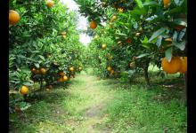 阿里v任务合作细节怎么写比较好？有哪些合作模式？