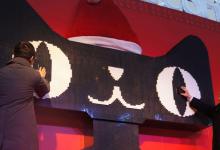 天猫国际直营和自营的区别(天猫国际直营好还是自营好)