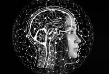 开天猫专营店需要什么条件？需要多少费用？