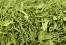绿茶的功效与作用英德绿茶
