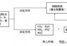 好氧堆肥的基本原理