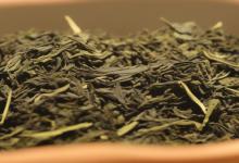 崂山绿茶的上市时间