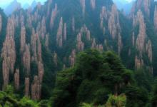 徽六黄山毛峰怎么样