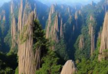 黄山毛峰产地及特点