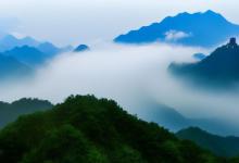 庐山云雾冲泡过程