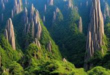明后的黄山毛峰怎么样