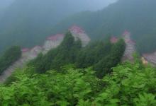 峨眉山雪芽基地农家乐