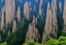 黄山毛峰 保存