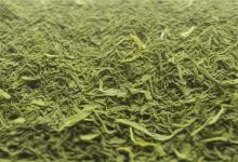 山东正宗日照绿茶