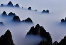 云雾对比黄山毛峰