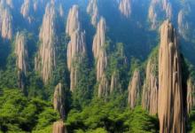 黄山毛峰怎么品