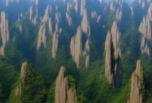 黄山毛峰第一家