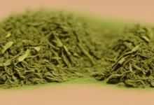 日照绿茶雪青牙