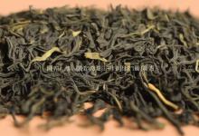 崂山绿茶特级明前新茶