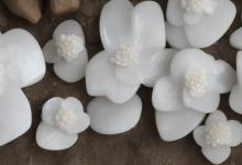 白玉皮上有石花