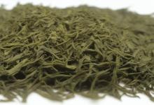 青岛崂山绿茶多少钱