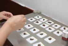 三伏贴价格不等效果一样吗