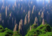 黄山毛峰哪个地方出名