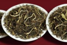玉龙雪芽普洱生茶