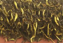 青城山雪芽是什么茶