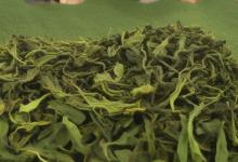 太平猴魁茶叶价格