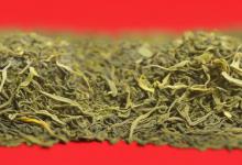 日照绿茶春茶与秋茶