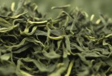 信阳毛尖的好坏