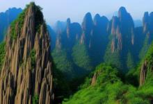 黄山毛峰品牌排行