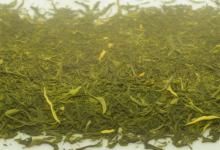 都匀毛尖绿茶吗