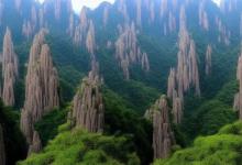 黄山毛峰与毛尖